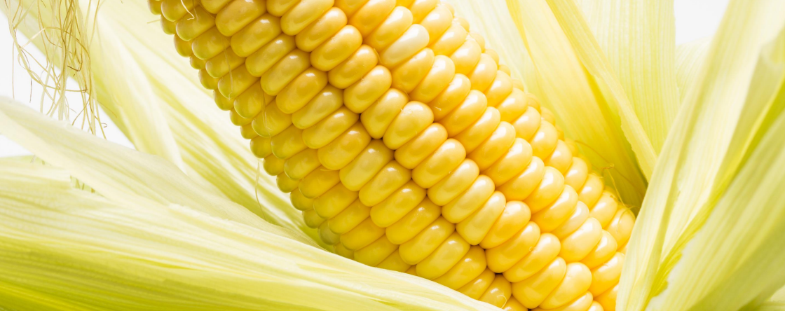 Peptide - Corn